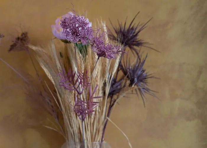 Apartamento Lovely Gina